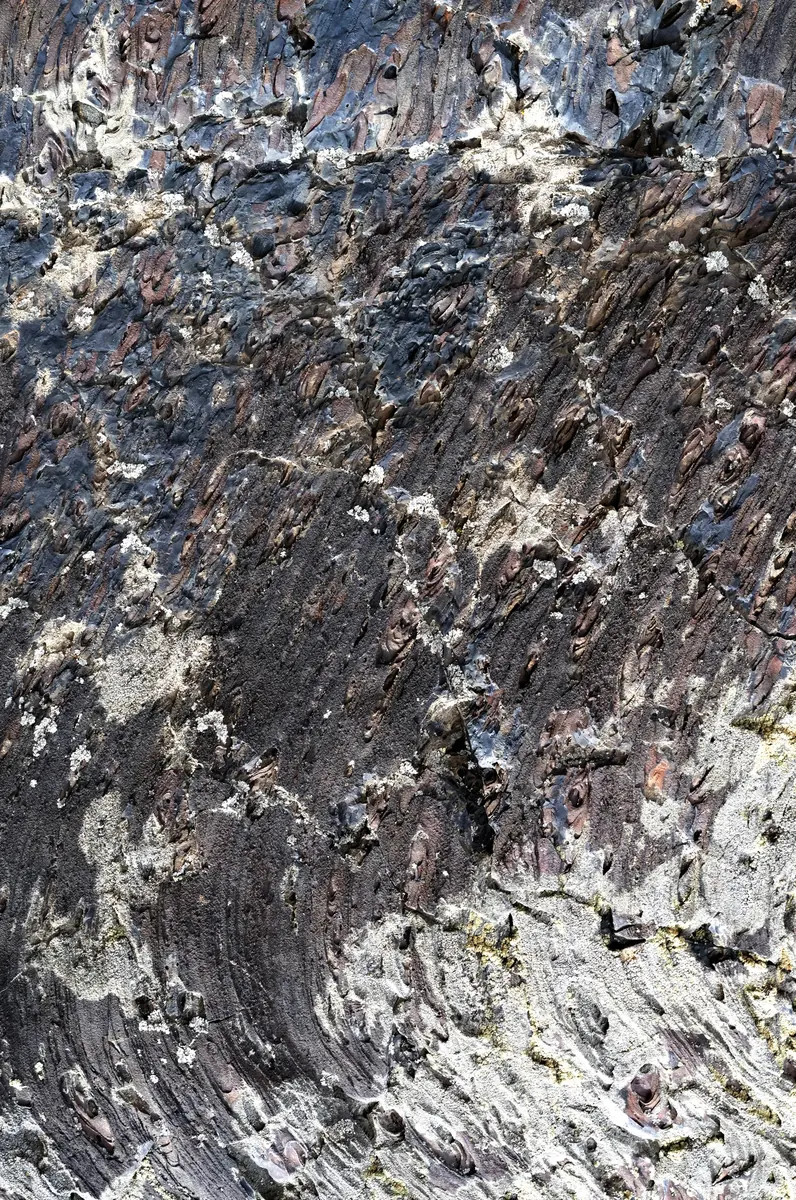Craters of the Moon surface detail.