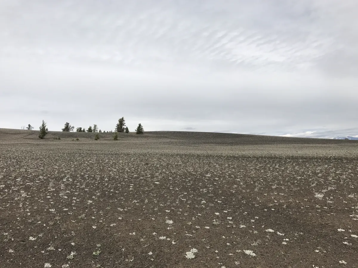 Craters of the Moon environment.