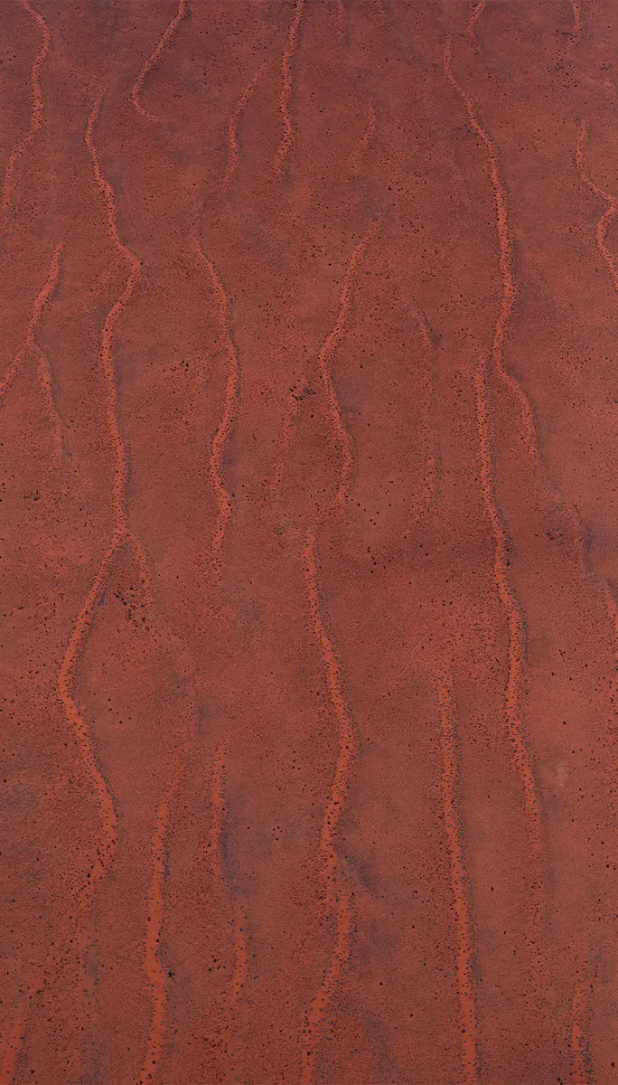 Simpson Desert aerial survey.