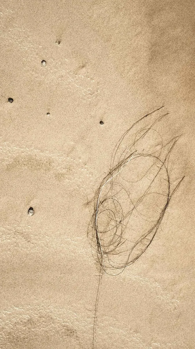 Wahiba Sands aerial survey.