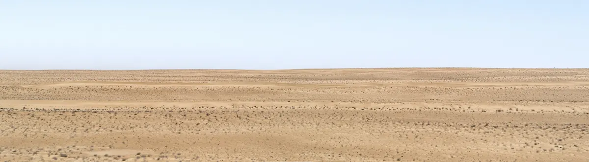 Wahiba Sands environment.
