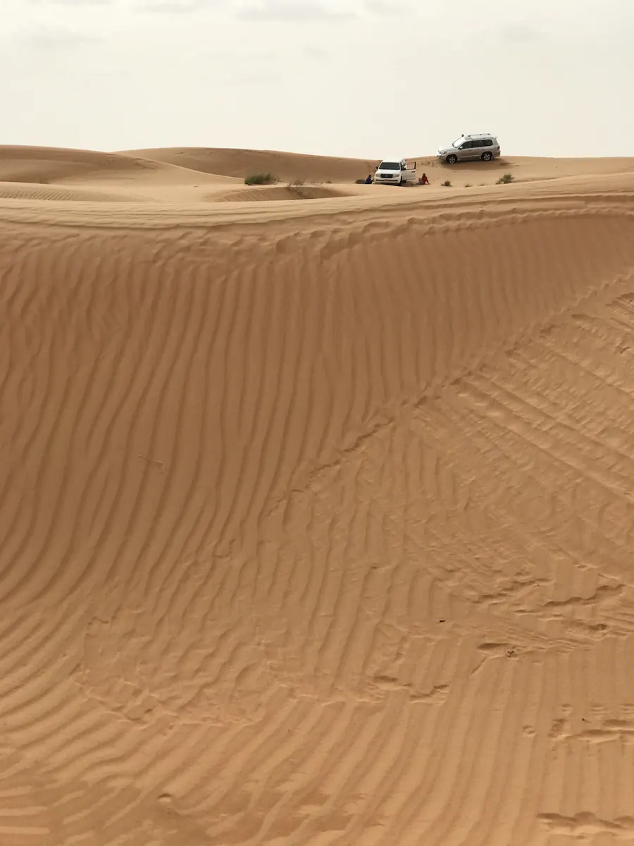 Wahiba Sands environment.