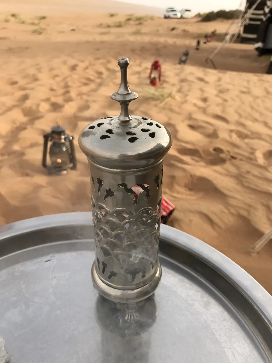Wahiba Sands environment.