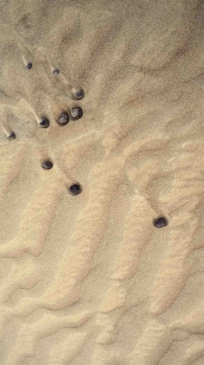 Wahiba Sands aerial survey.