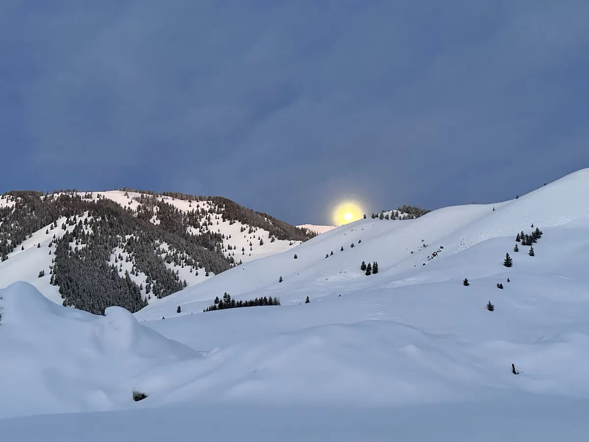 Winterblue search image.