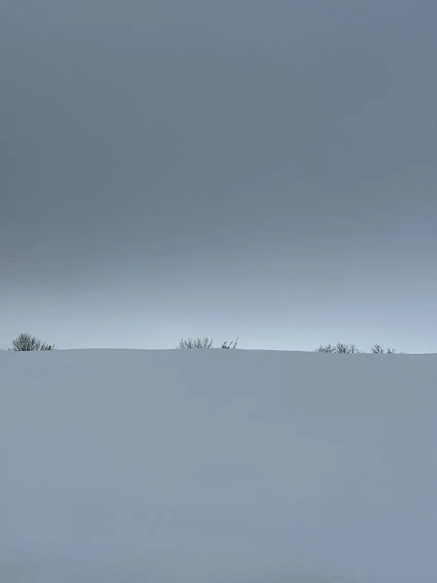 Winterblue search image.
