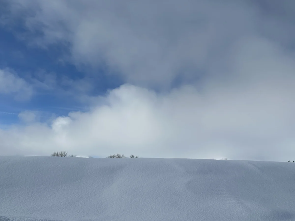 Winterblue search image.