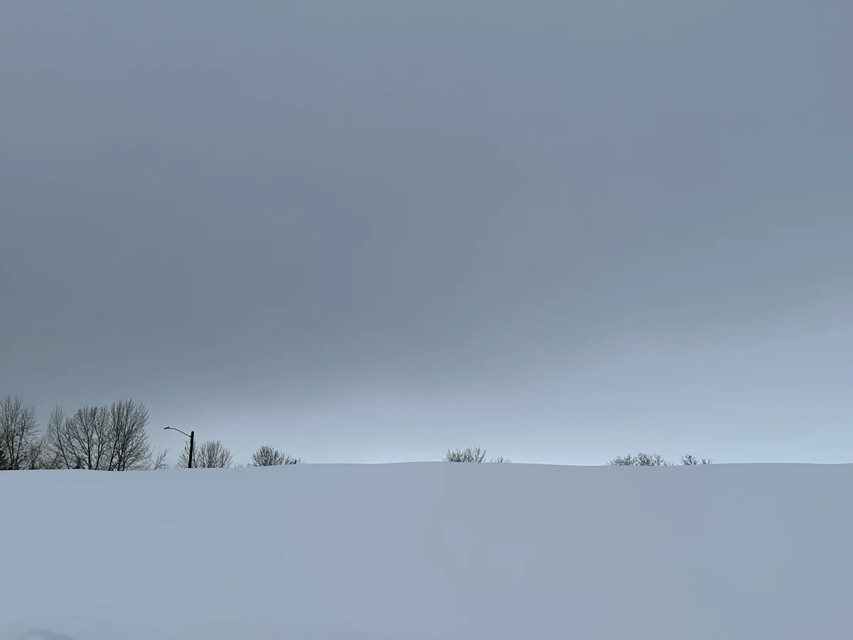 Winterblue search image.