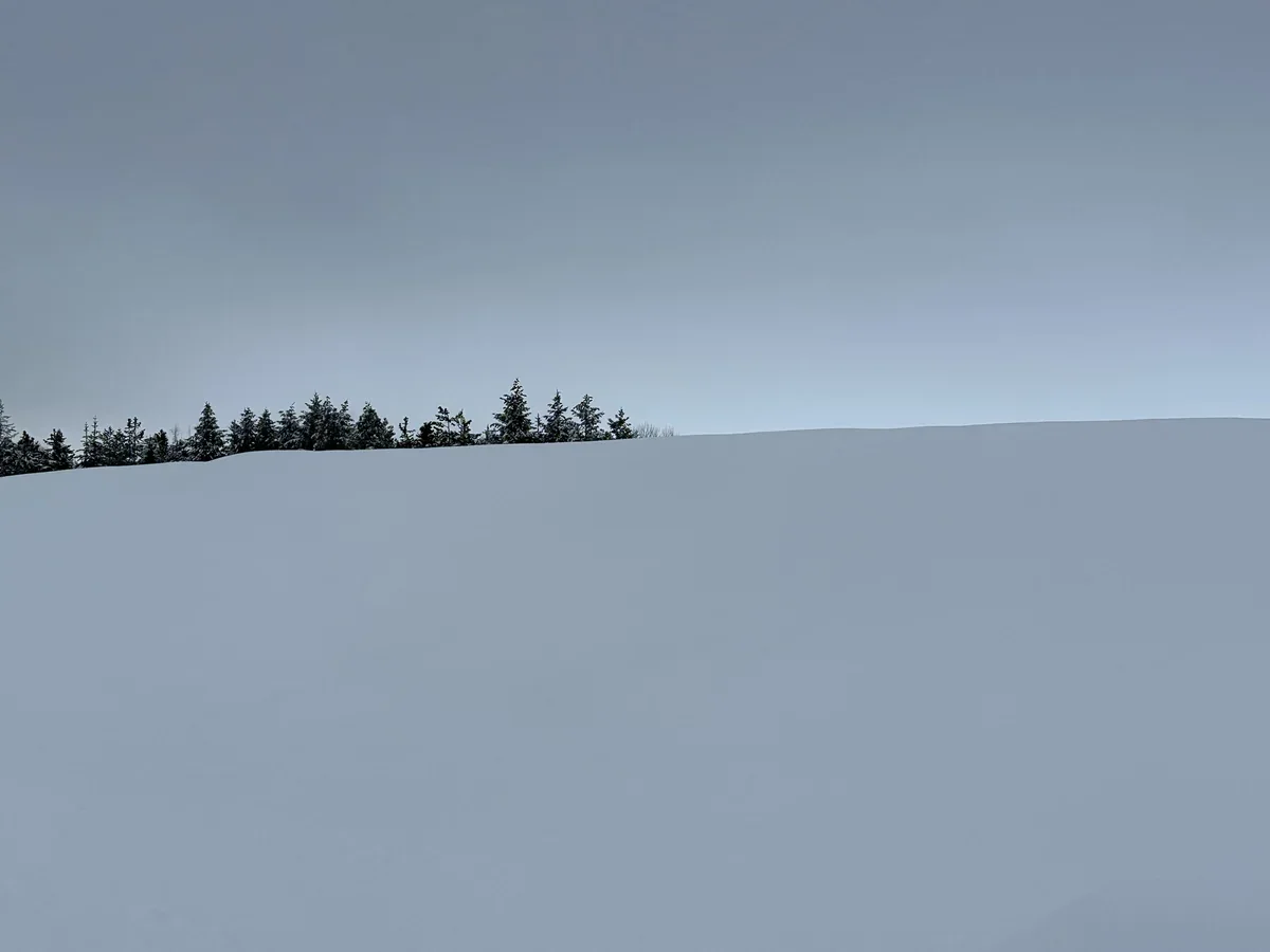 Winterblue search image.